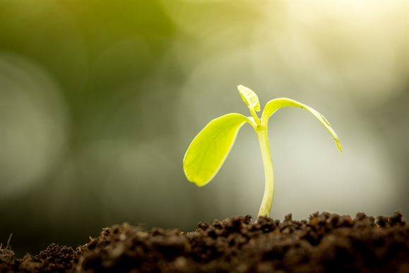 Sustainability