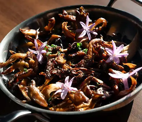 Oyster Mushrooms