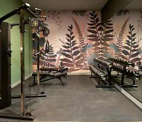 Free Weights
